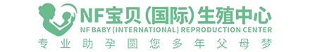云码网